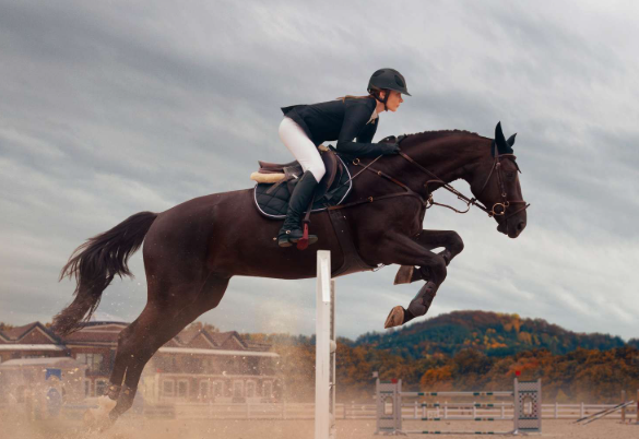 mengenal-dunia-equestrian-yang-penuh-ketenangan