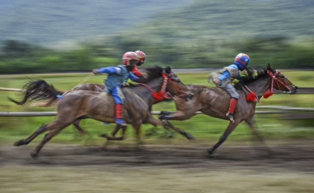 Peran Joki Profesional dalam Menentukan Kemenangan Balap