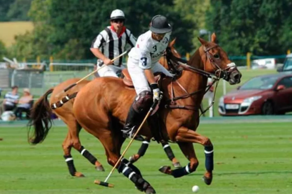 Olahraga Polo: Peran Penting Kuda dalam Pertandingan